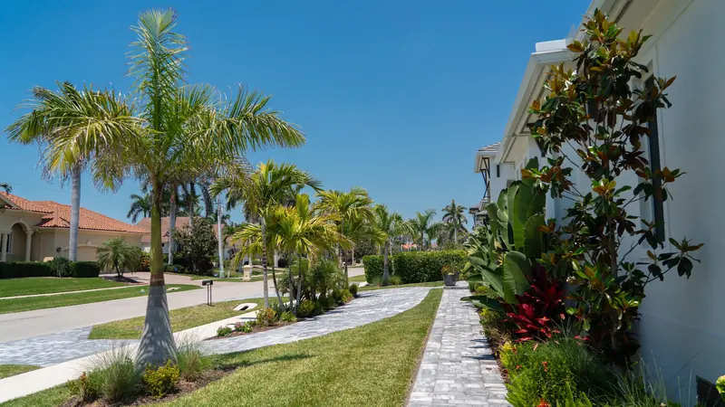 Side-yard paver walkway lined with palms, a magnolia and tropical plantings